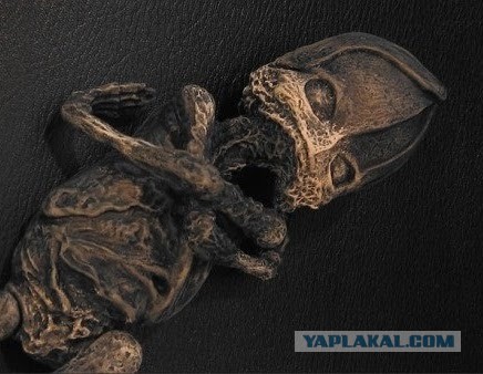 Загадка с чердака