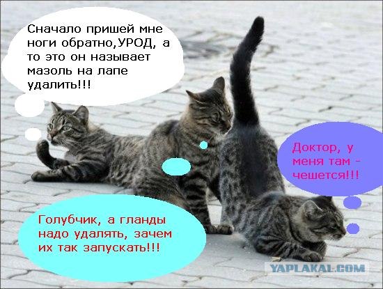 Подпиши фото!