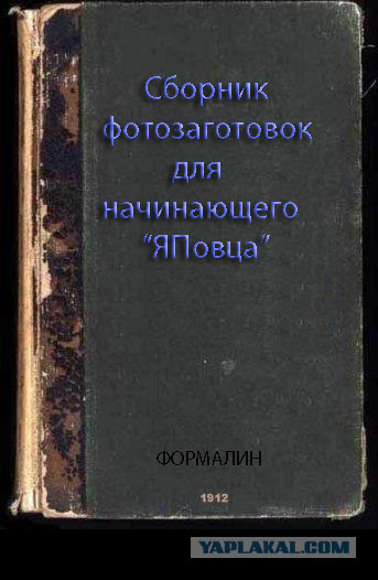 Фотожаба: учебник