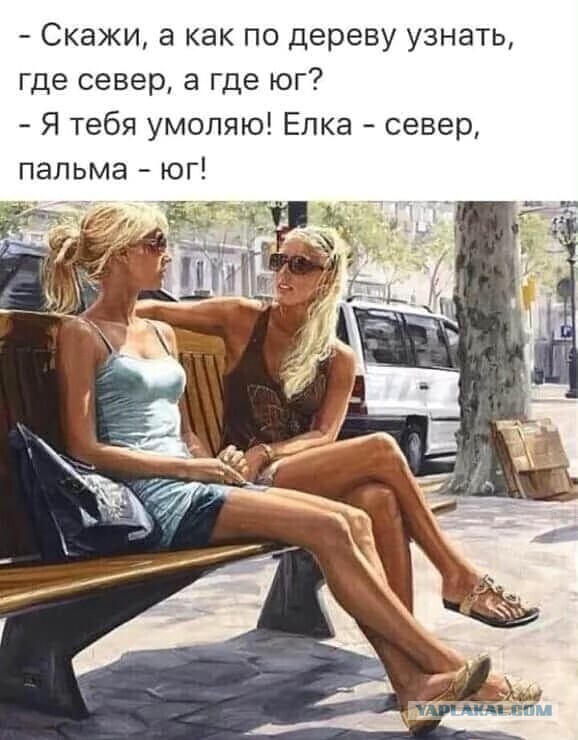 Немного картинок для настроения 006