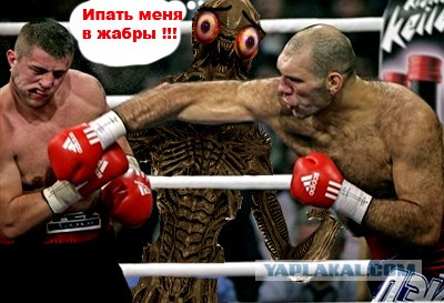 Пословицы