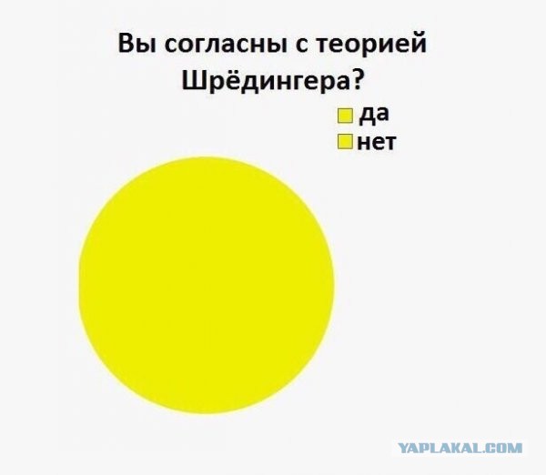 Бредзона 16.12.2020