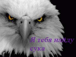 Орел против парапланериста