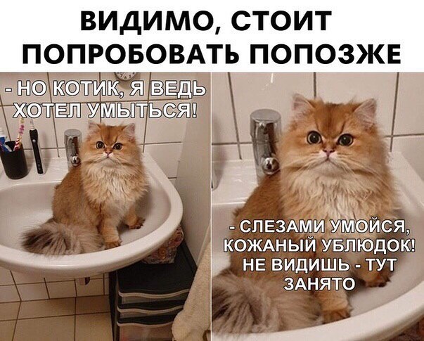 Шерстяные ублюдки