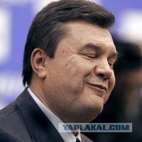 Людей не пускают в леса Украины
