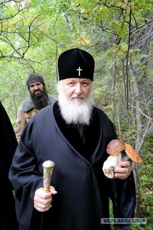 Питерцы, готовы?)))