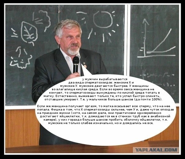 Алкобаяны на пятницу