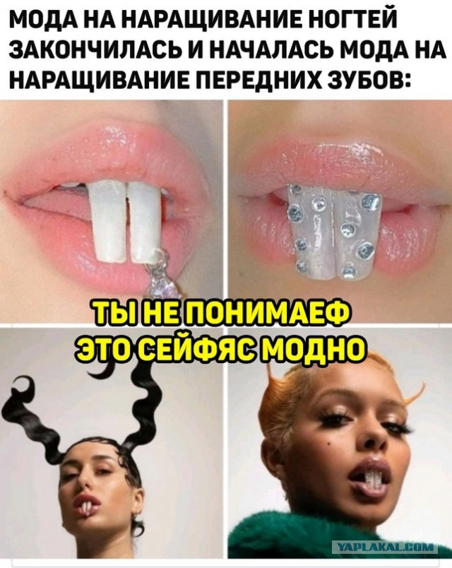 Весёлый полтишок 19.11.2021