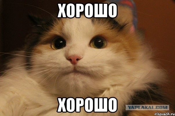 Больше, наверное, за высказывания о правоохранительных органах, но всё-таки дерзкий Оганез задержан