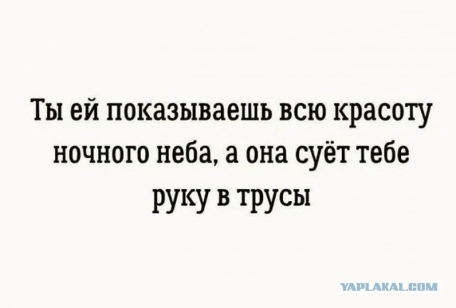 Весёлый полтишок 03.02