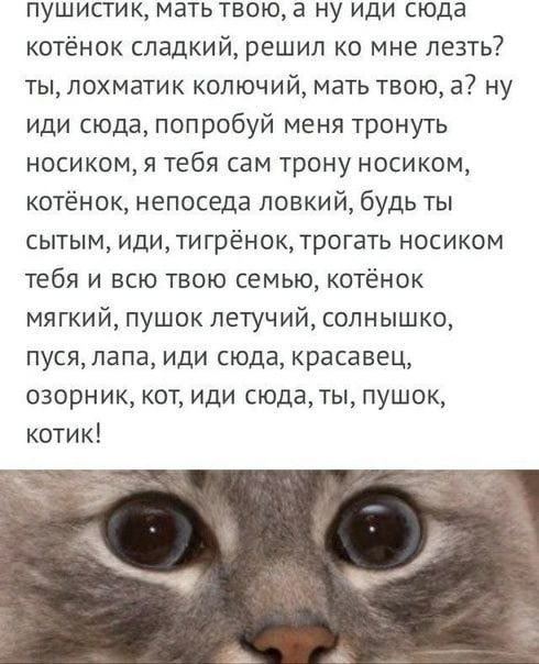 Злободневной Хни вам в ленту, дорогие деграданты...