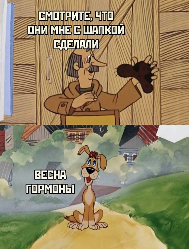 Весёлый полтишок 14.04.22