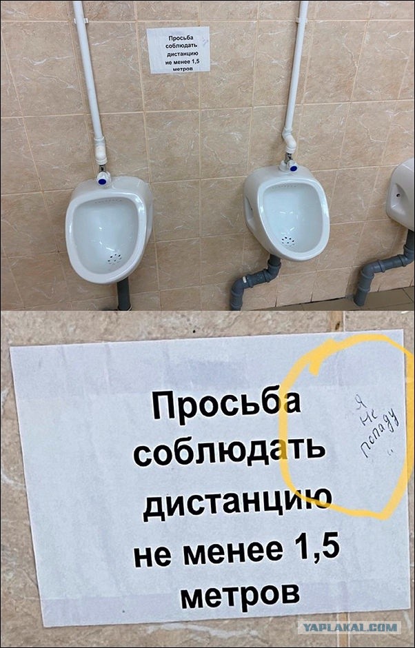 Так себе картинки 29.04.22