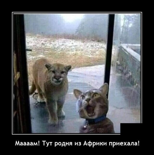 Картинки с надписями 31.07.22