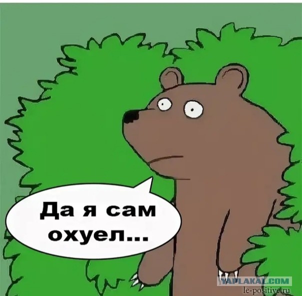 Ох уж эти милые девушки