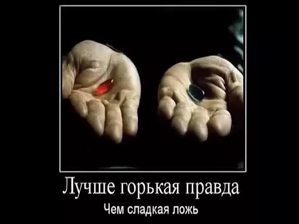 Победная поступь идиотизма по планете – том 8