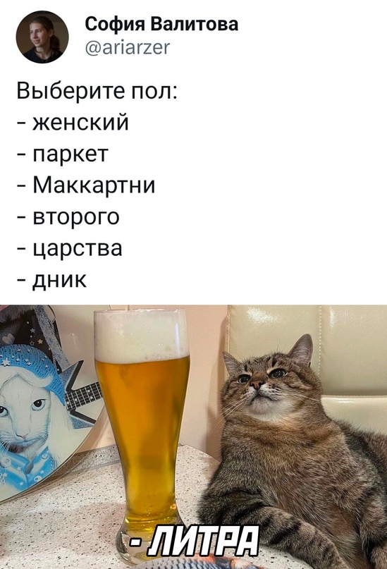 18248359.jpg