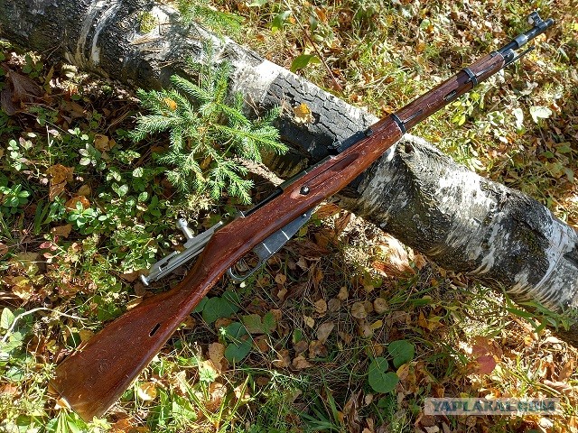 Швейцарский карабин К31