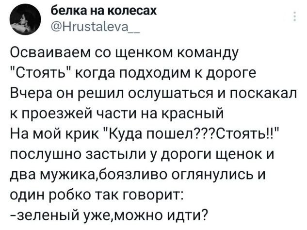 Немного обо всём