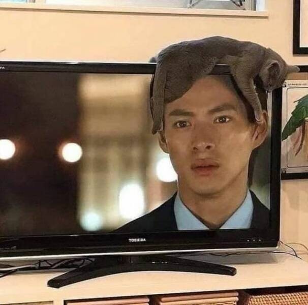 ФотоВинегрет