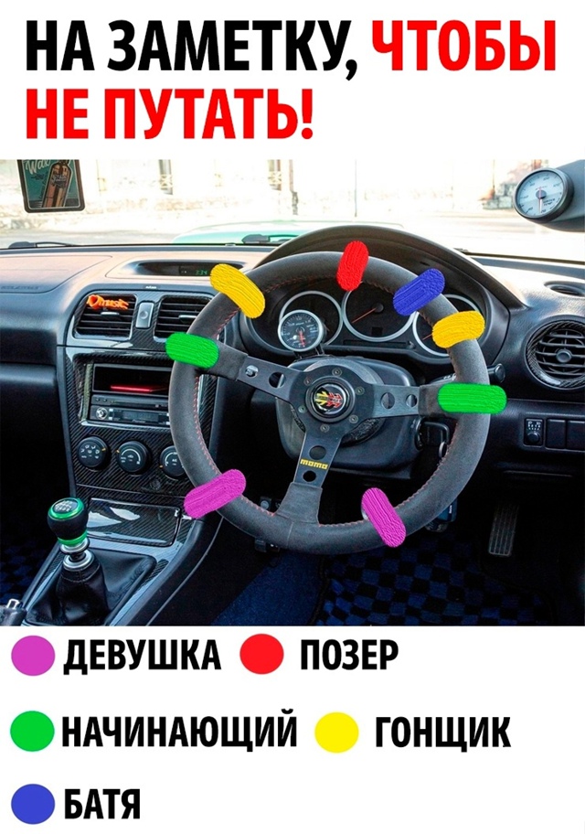 Весёлый полтишок 10.06.24