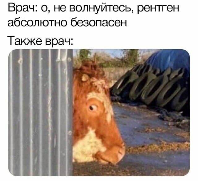 Сборник бабаянов или неожиданная помойка