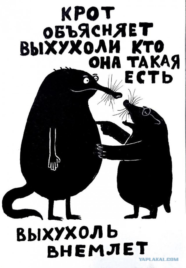 Ху из мистер Зорг (mrzorg) ?