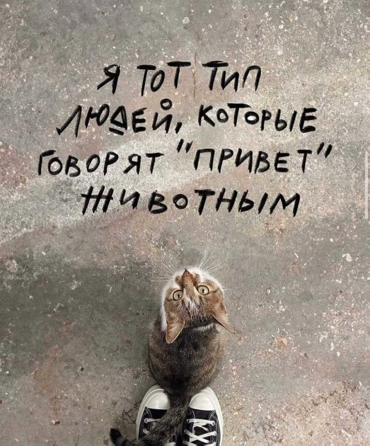 Картинки разные с надписями и без