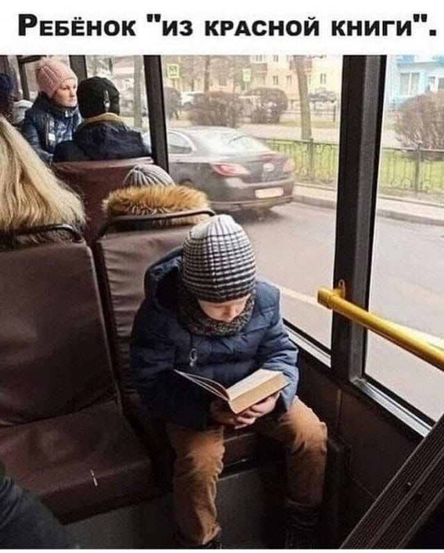 Так себе картинки 12.01.25