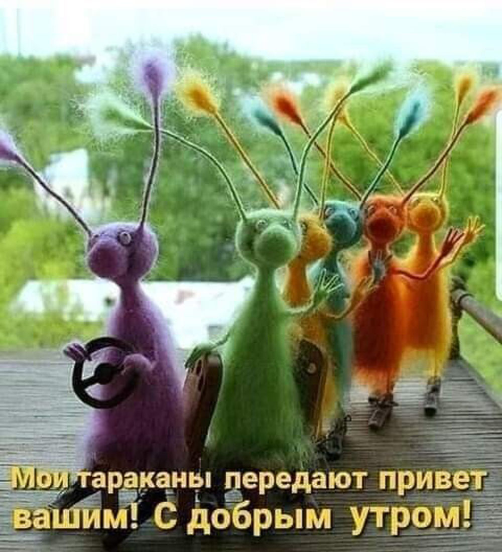 Прикольные и просто красивые картинки 06.05.2025
