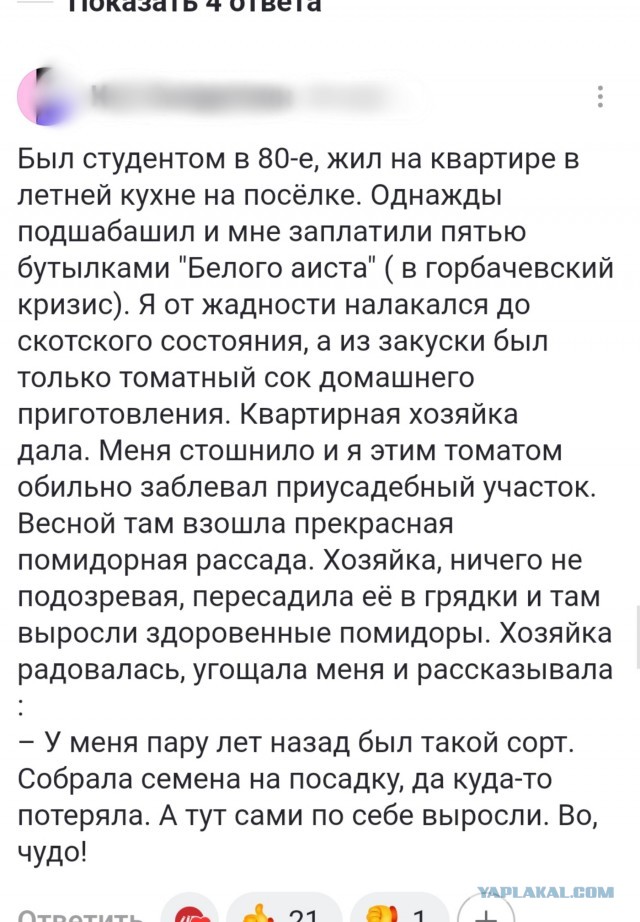 Хочу сразу предупредить!