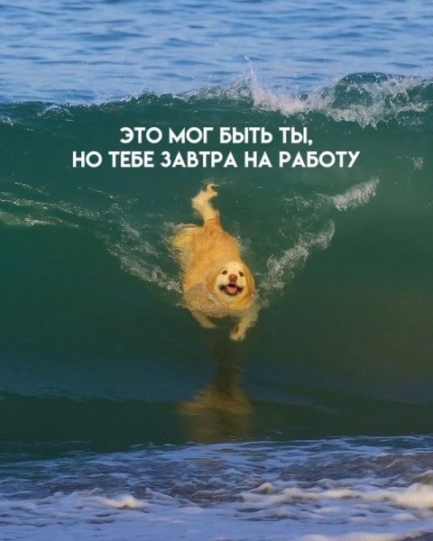 Для настроения в пятницу