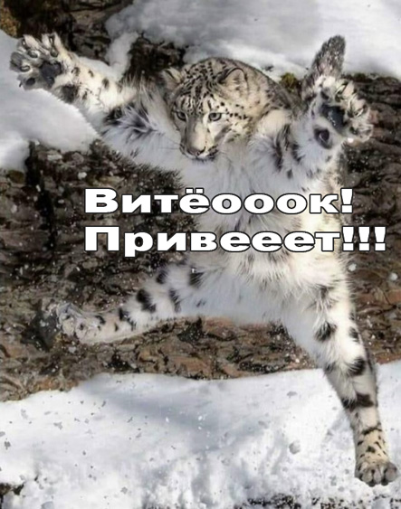 Картинки для деградации 12 (разной степени свежести)