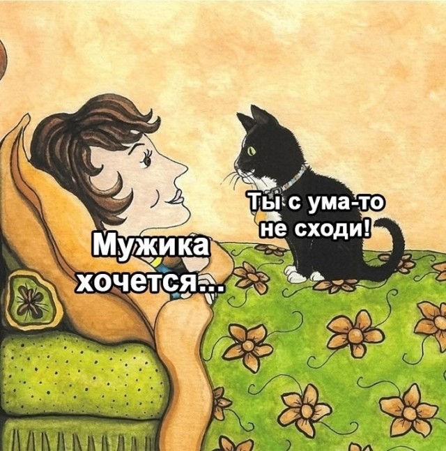 К котовторнику: подборка картинок-баянов с котиками и про котиков. Выпуск 18.
