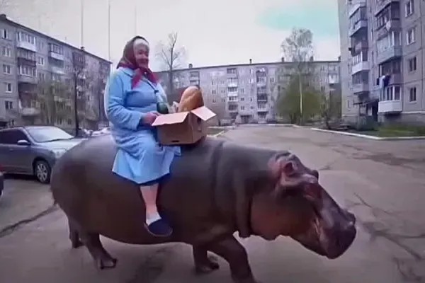 Самый популярный человек в Китае