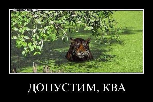 Сборочный цех лягушачьей печали