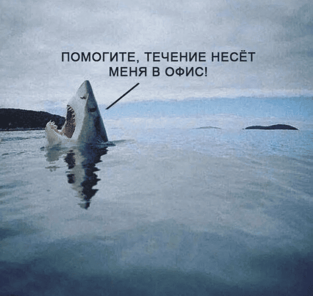 Веселые картинки в понедельник (15.12)