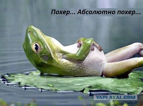Жесть в воскресной школе.
