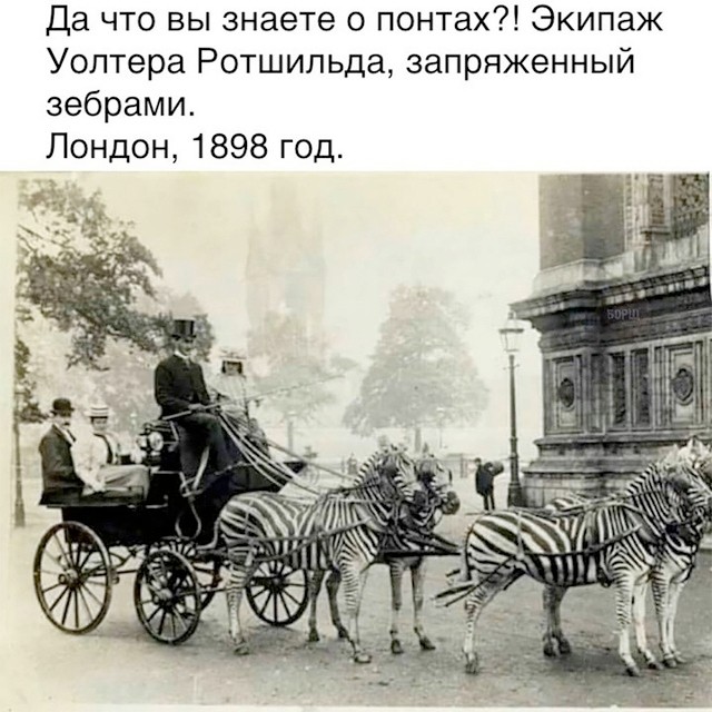 Картинки для деградации 202 (разной степени свежести)