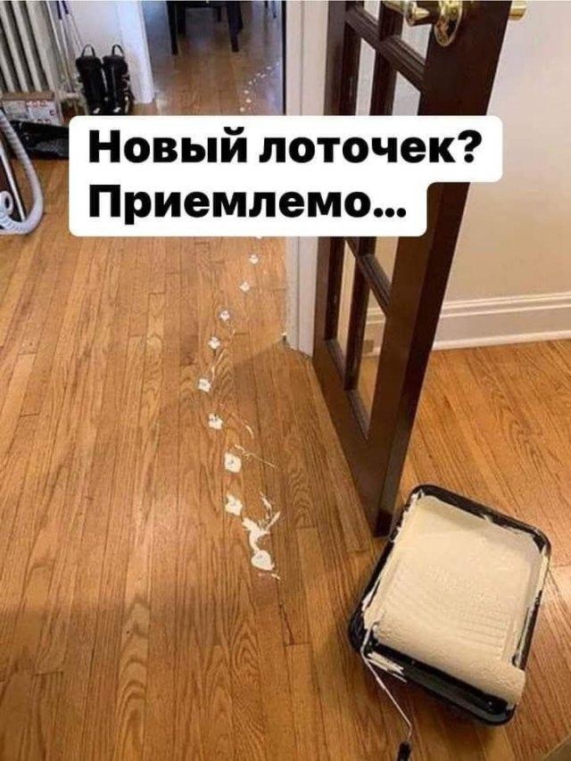 Картинки для деградации 206 (разной степени свежести)