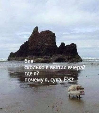"Раньше здесь был лес, знаешь ли"