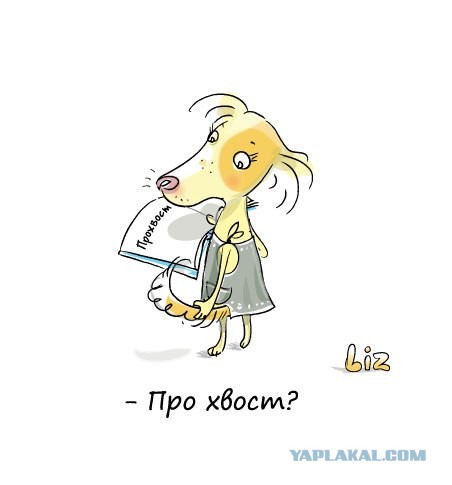 мои персонажи