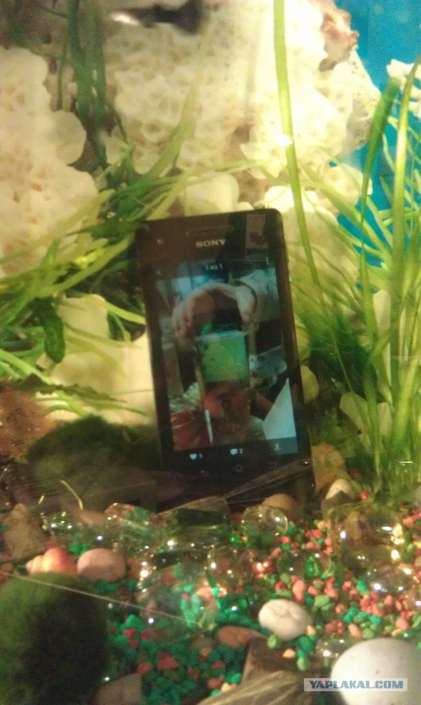 Xperia™ Z1 - единственный нормальный айфон