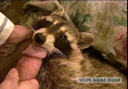 Пособие