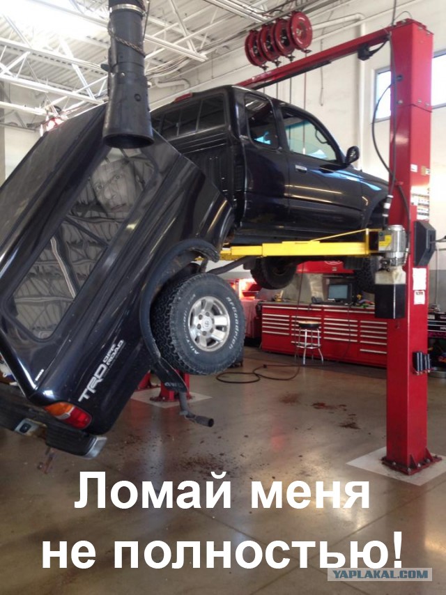 Мой босс меня убьет