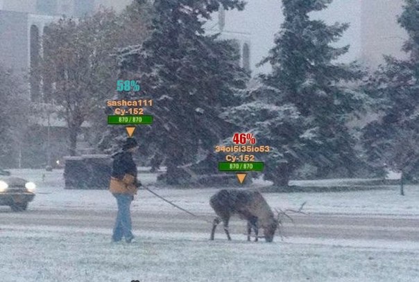 Wargaming 8