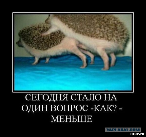 Демотиваторы.