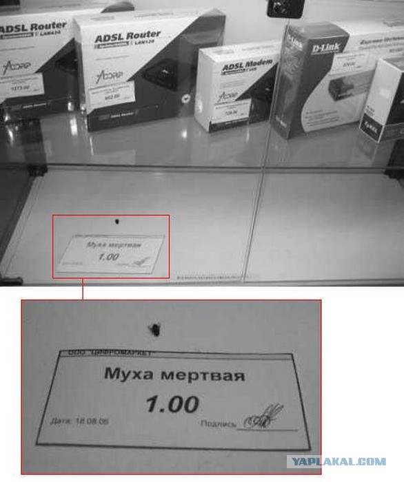 Подборка смешных картинок