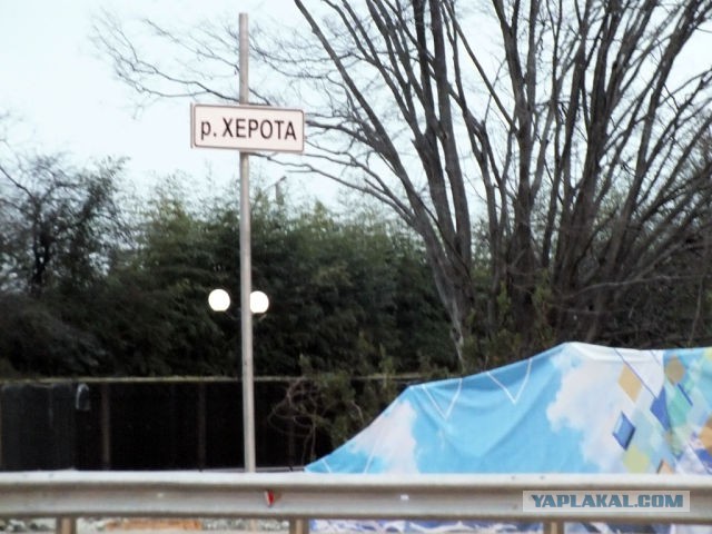 Просто забавные фотки из мобильника