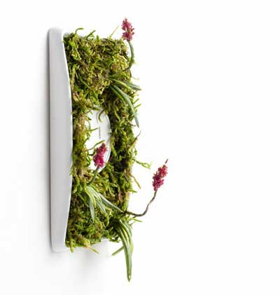 Рукожопство коврика для ванной из мха